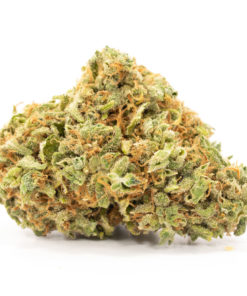Sativa