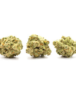 Indica