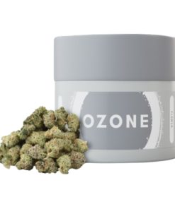 Animal Cake Popcorn 14g