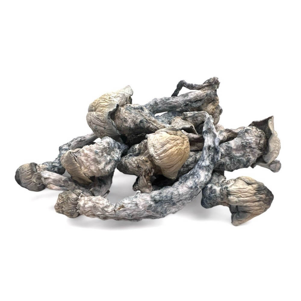 BIOFREEZE Magic Mushrooms