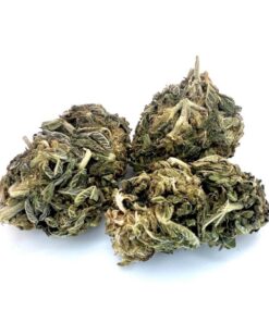 Dark Shadow Haze(AA)