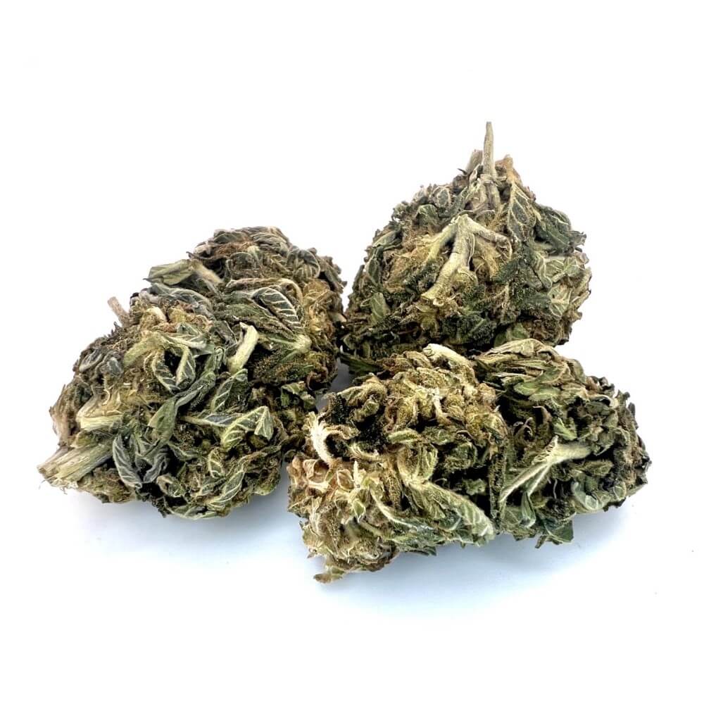 Dark Shadow Haze(AA)