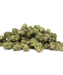 AAA+ Popcorn Buds – Miracle Alien Cookies