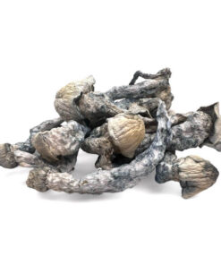 Mushrooms
