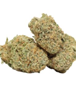 Mimosa Kush
