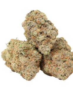 Thin Mint Girl Scout Strain