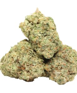 Tropicana Jet Fuel