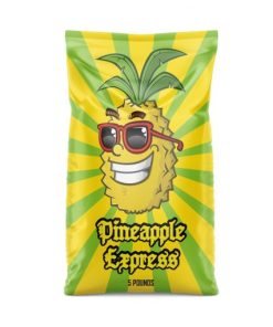 5 Pounds (Plain or Flavored)